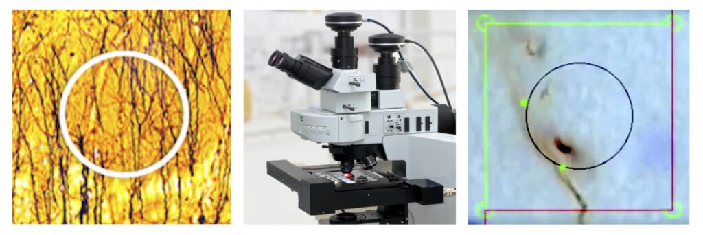 Space Balls 1 Space Balls 1